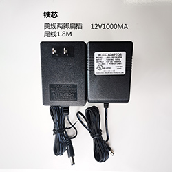 铁芯美规两脚扁插2